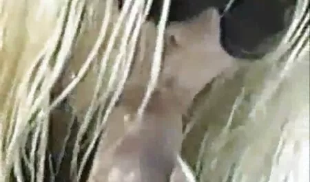 First transmission indian old man sex
