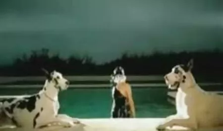 The girls want xxx desi indian video to depravity porn